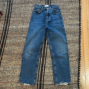 Agolde 90s pinch waist